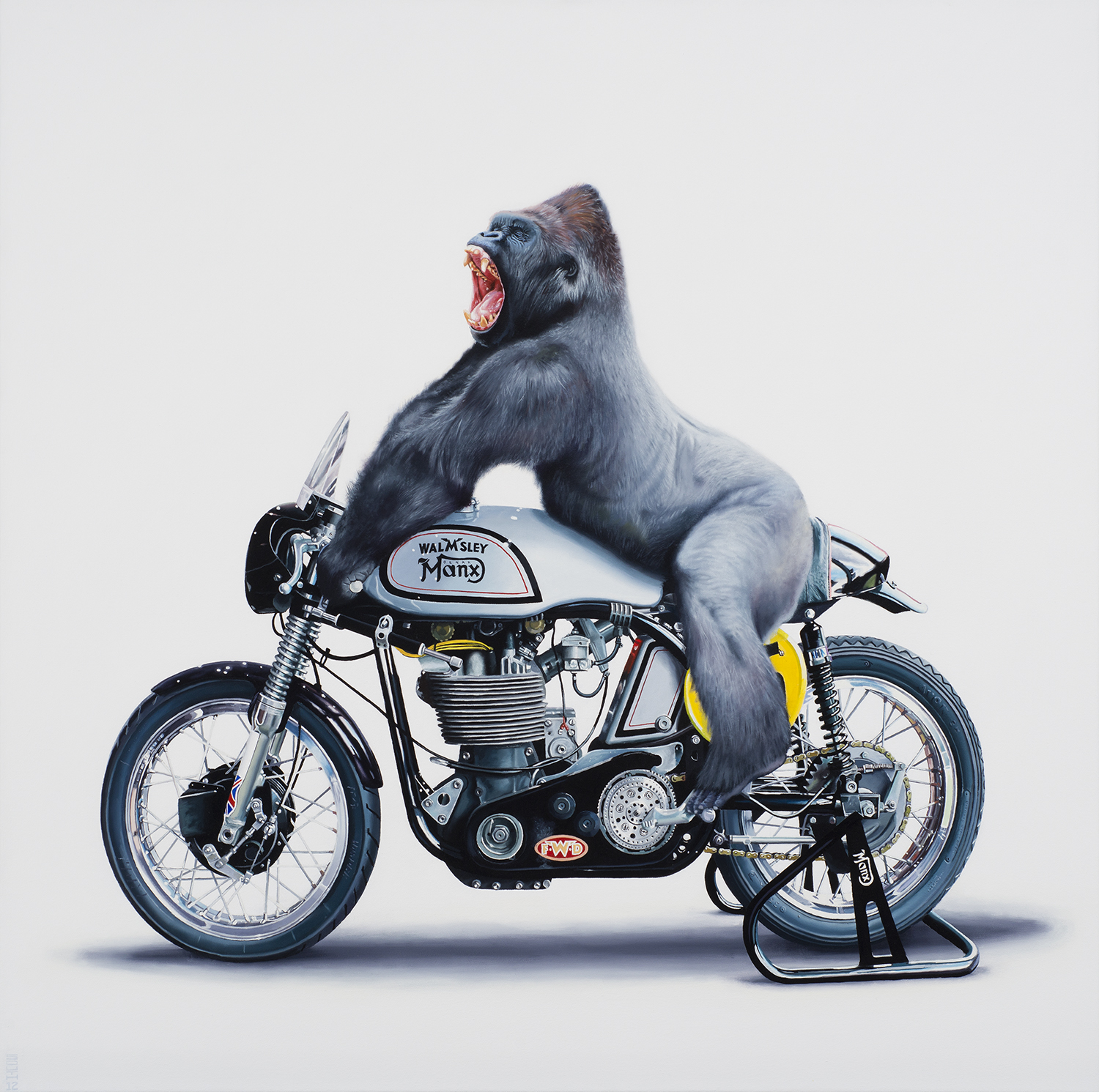 A gorilla on a motorcycle that is braced - Tony South - A Brace of Silverbacks