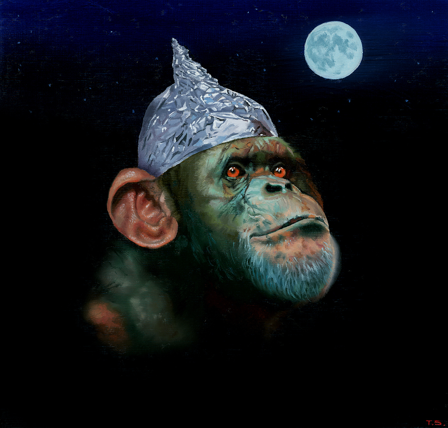A monkey with a tinfoil hat looking at the moon - Tony South - Signals
