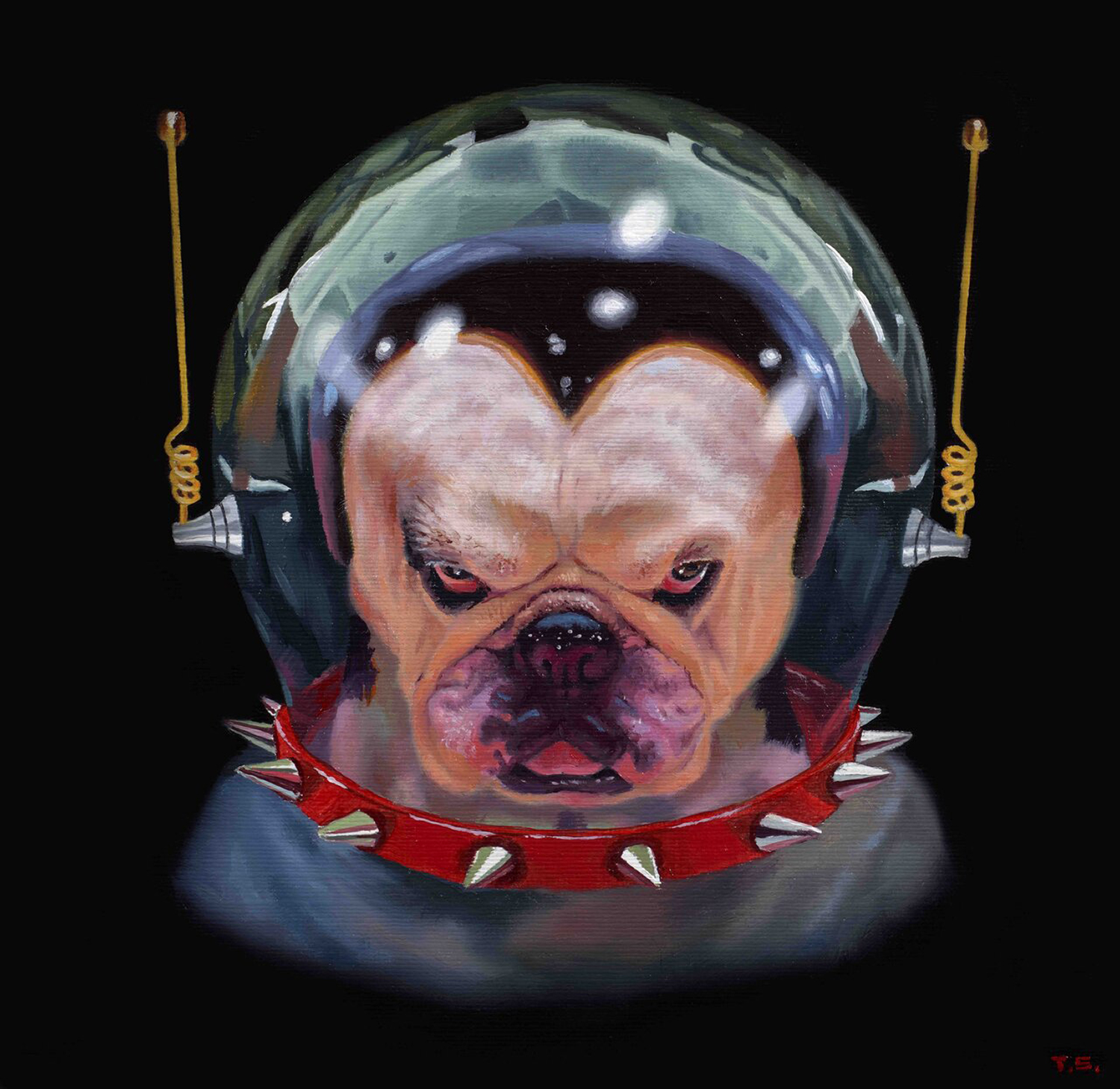 A dog in a space suit - Tony South - Million To One