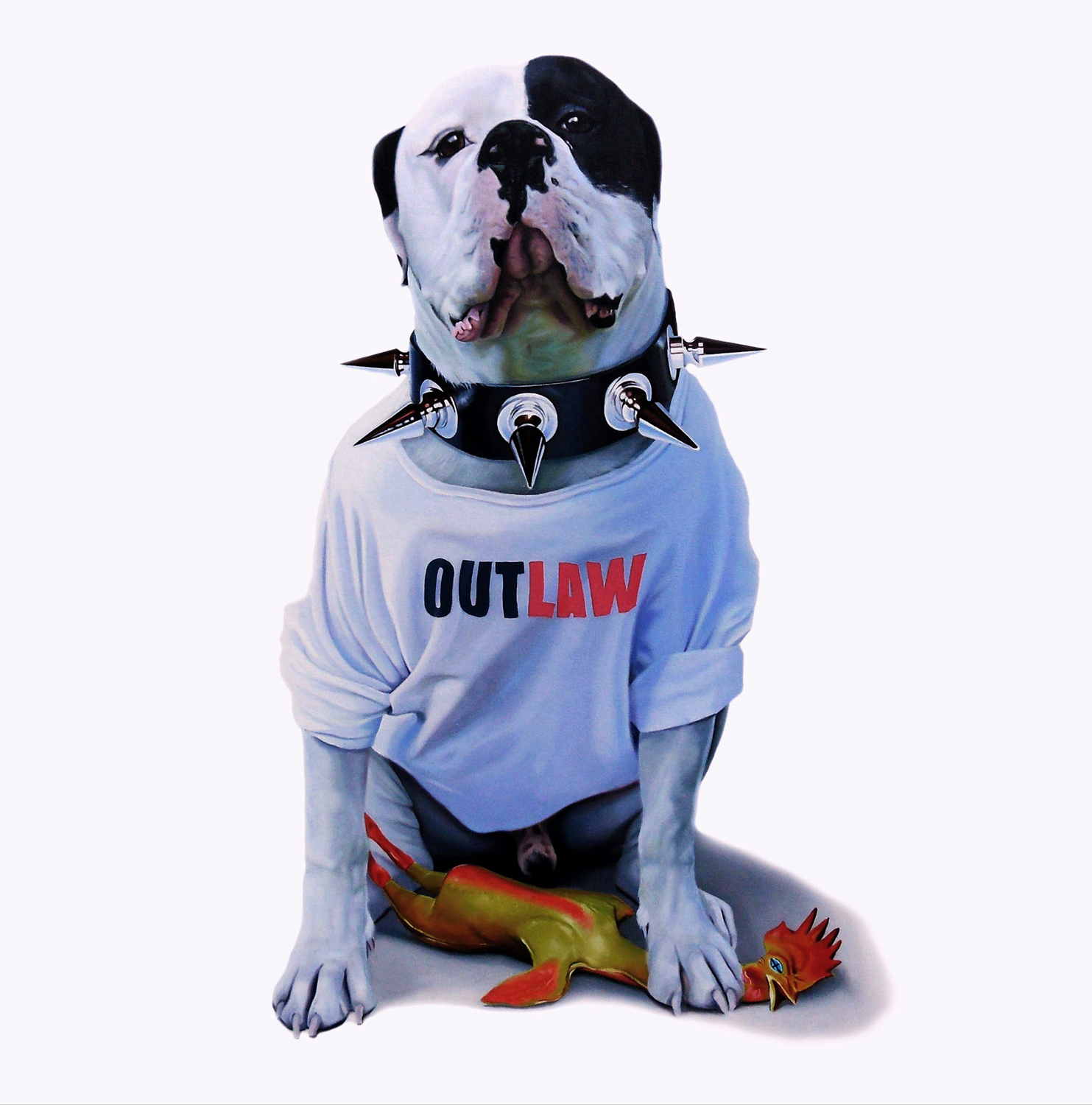 a dog wearing a t-shirt and spiked collar - Tony South - Outlaw