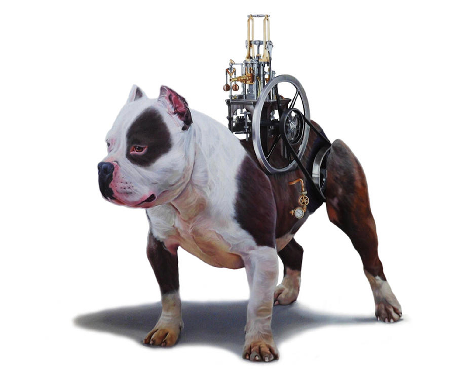 an image of a dog with a machine on its back - Tony South - Revolve