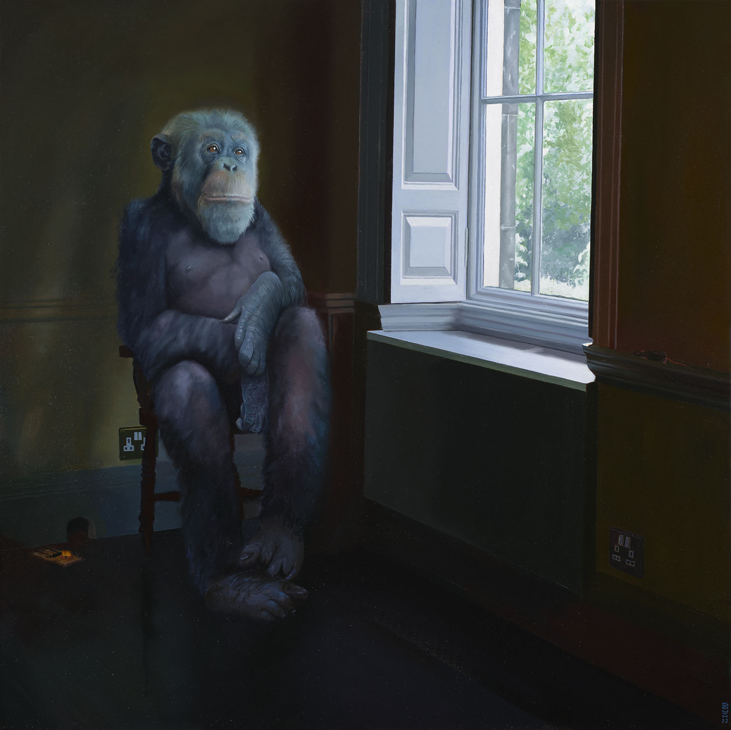 a monkey seated near a window